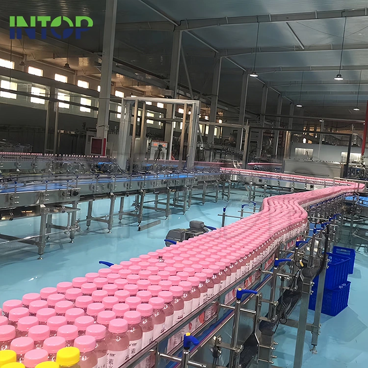 Wat maakt een aardbeiensapproductielijn efficiënt, veilig en klaar voor commerciële schaal?