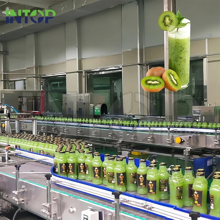 Productielijn voor kiwisap