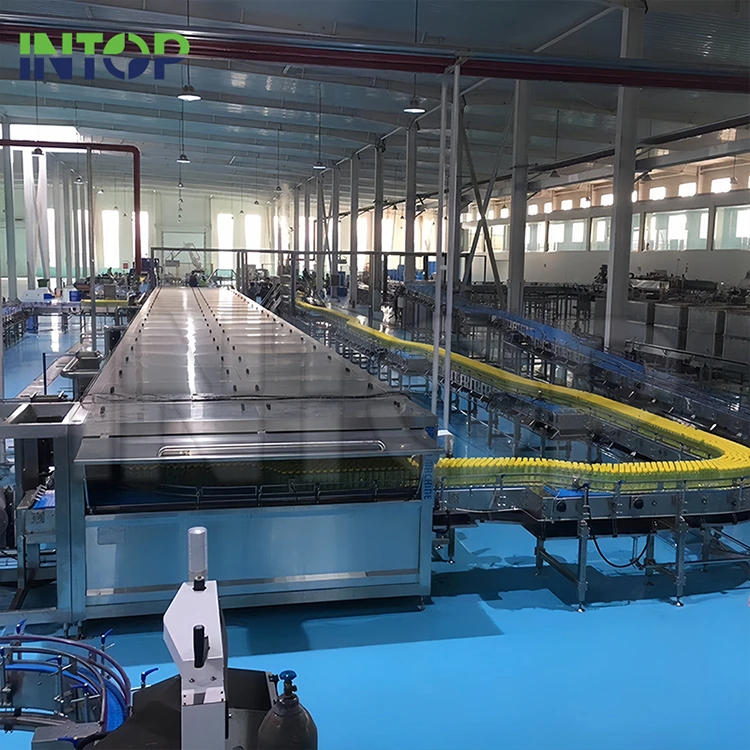 Productielijn voor mangosap