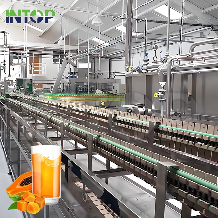 Productielijn voor papajasap